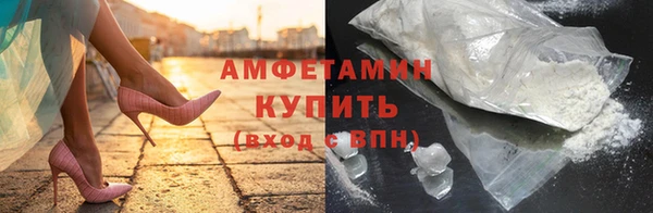 спиды Ельня