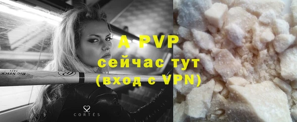 спиды Ельня