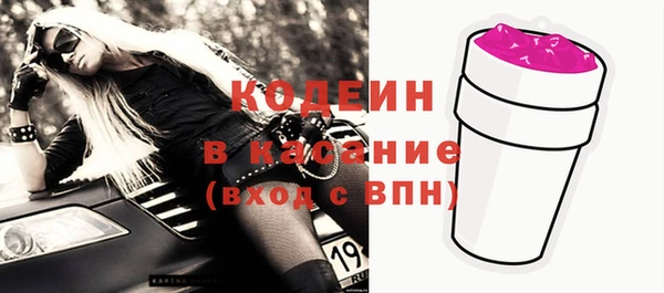 спиды Ельня
