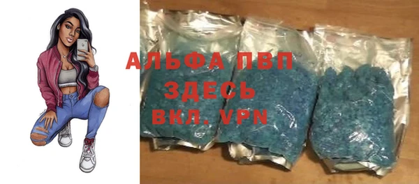 спиды Ельня