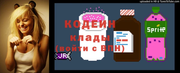 дурь Елизово