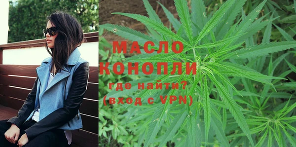 спиды Ельня