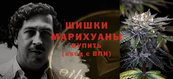дурь Елизово