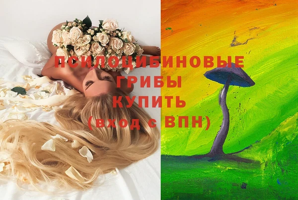 спиды Ельня