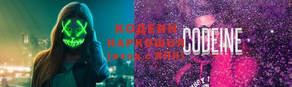 спиды Ельня