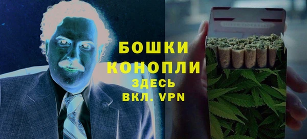 спиды Ельня