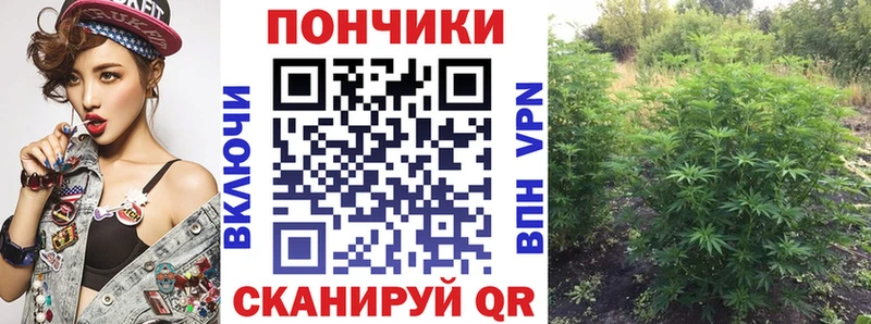 Конопля Amnesia  Купить где  Лаишево 
